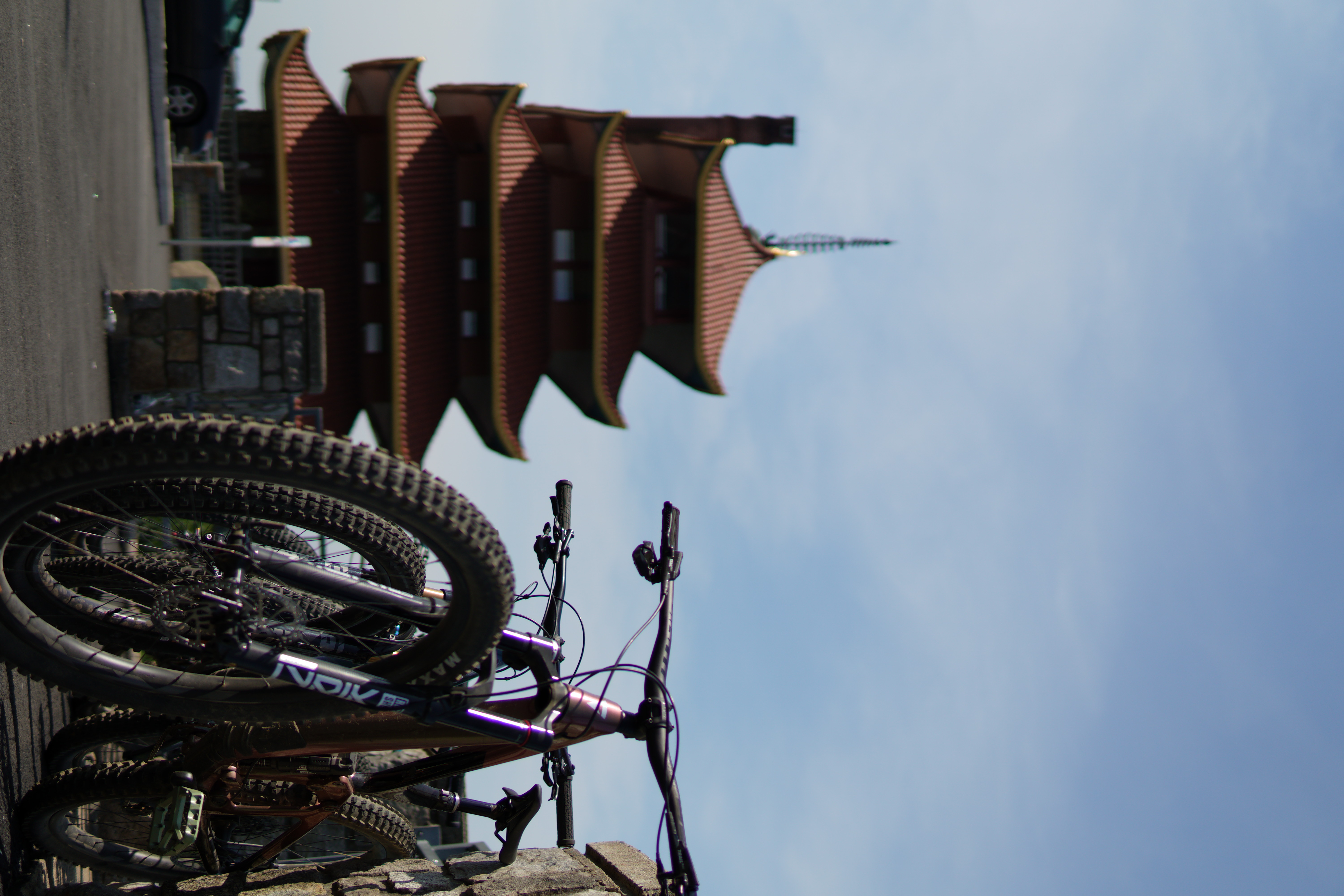 MTB